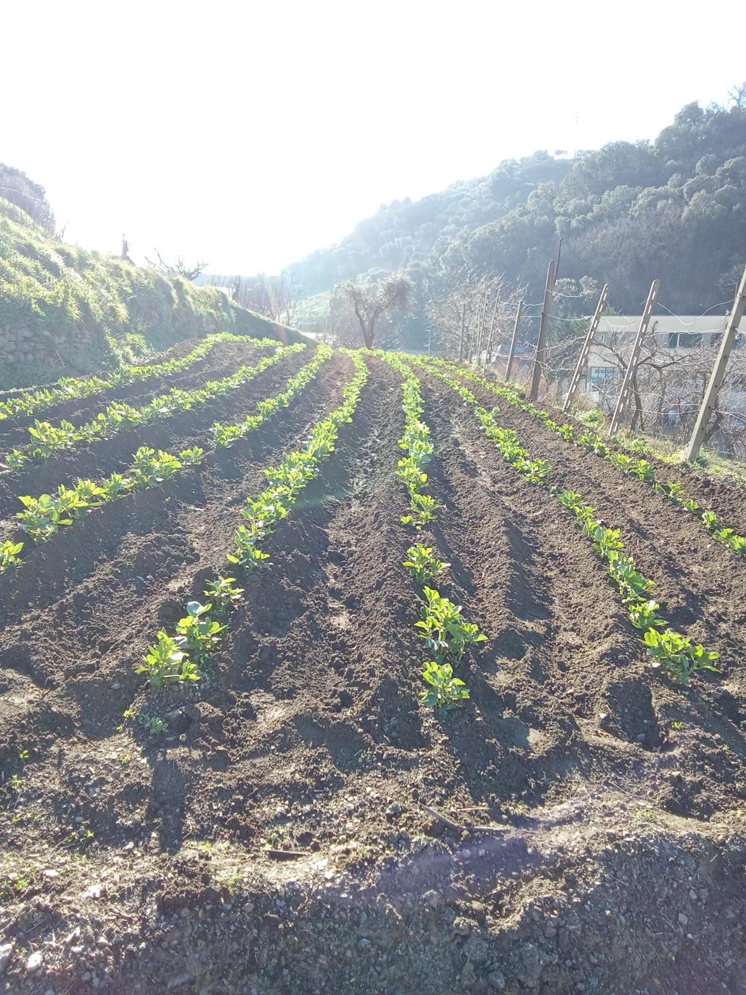 切莱农家乐 塞勒里古 外观 照片